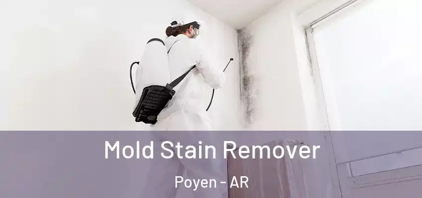  Mold Stain Remover Poyen - AR