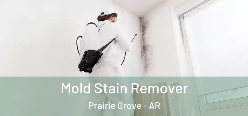 Mold Stain Remover Prairie Grove - AR