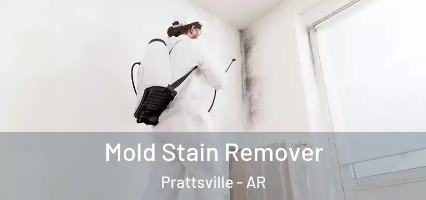  Mold Stain Remover Prattsville - AR