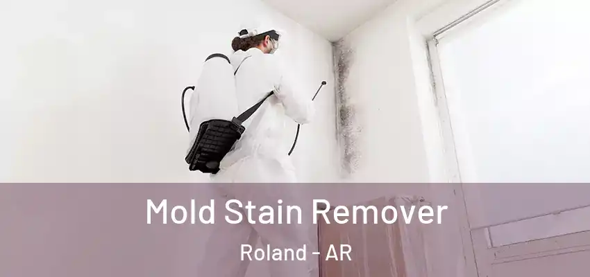  Mold Stain Remover Roland - AR