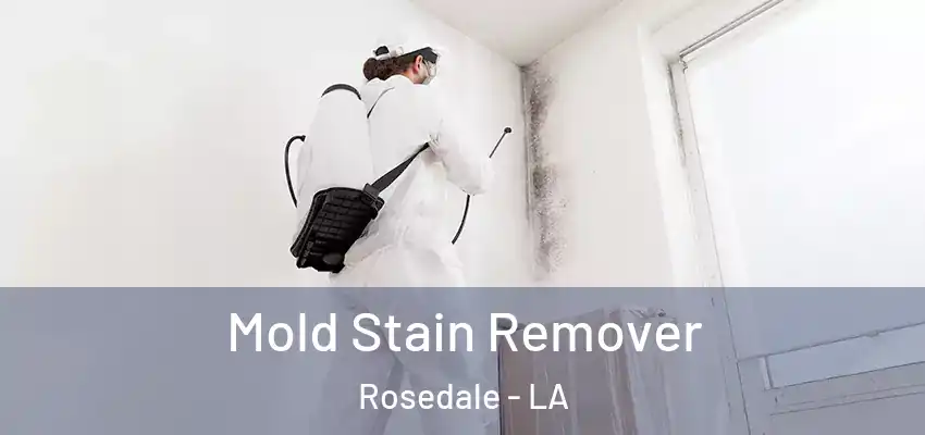  Mold Stain Remover Rosedale - LA