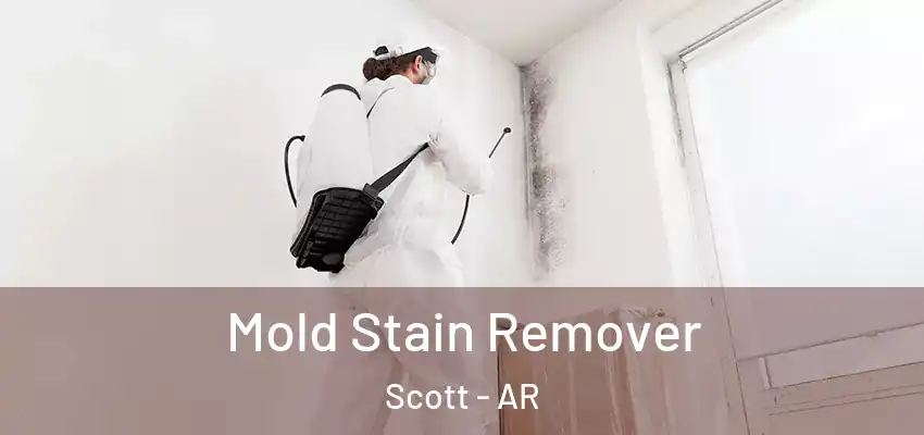  Mold Stain Remover Scott - AR
