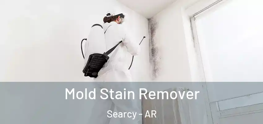  Mold Stain Remover Searcy - AR