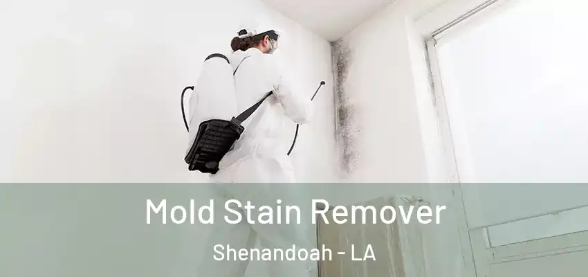  Mold Stain Remover Shenandoah - LA