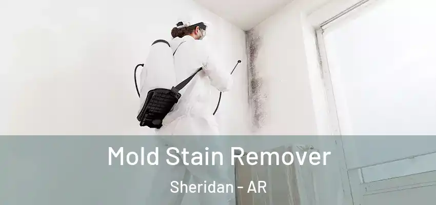  Mold Stain Remover Sheridan - AR