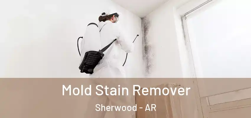  Mold Stain Remover Sherwood - AR
