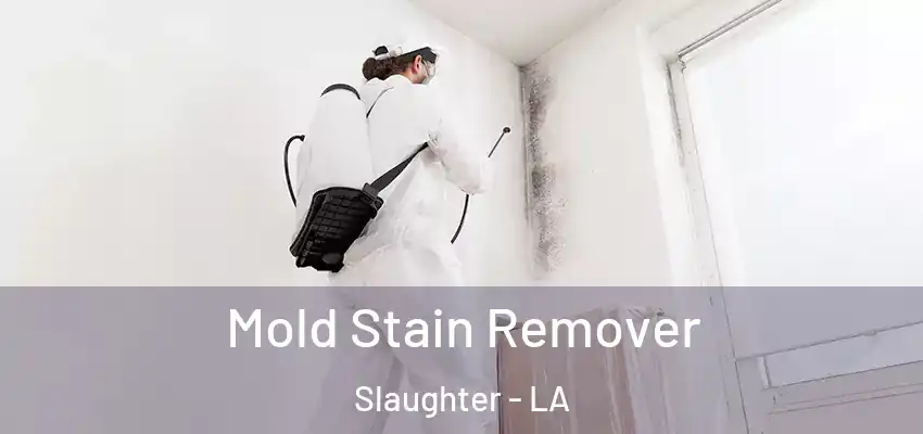  Mold Stain Remover Slaughter - LA