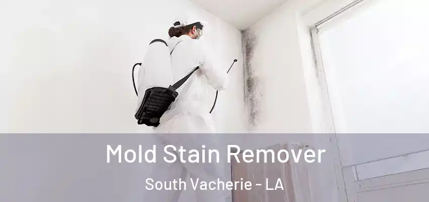  Mold Stain Remover South Vacherie - LA