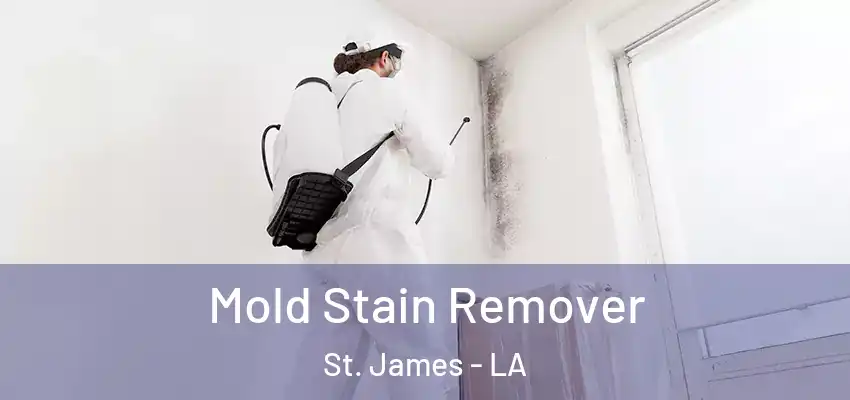  Mold Stain Remover St. James - LA