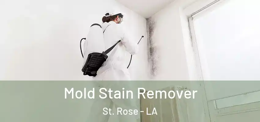  Mold Stain Remover St. Rose - LA