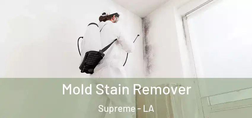 Mold Stain Remover Supreme - LA
