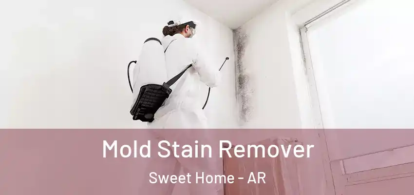  Mold Stain Remover Sweet Home - AR