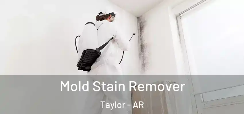  Mold Stain Remover Taylor - AR