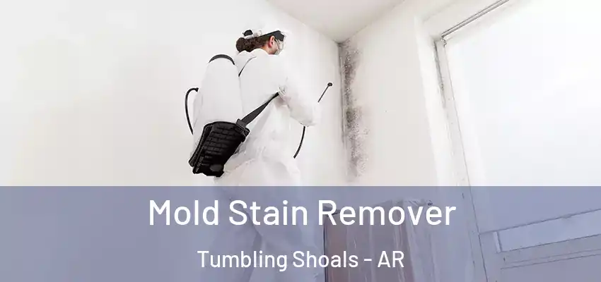  Mold Stain Remover Tumbling Shoals - AR