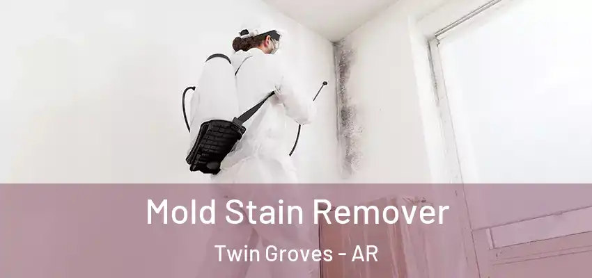  Mold Stain Remover Twin Groves - AR