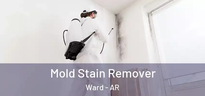  Mold Stain Remover Ward - AR