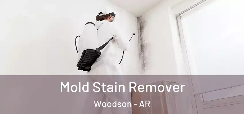  Mold Stain Remover Woodson - AR