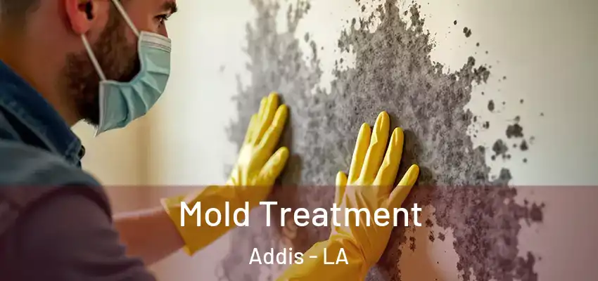 Mold Treatment Addis - LA