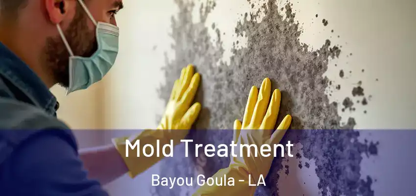  Mold Treatment Bayou Goula - LA