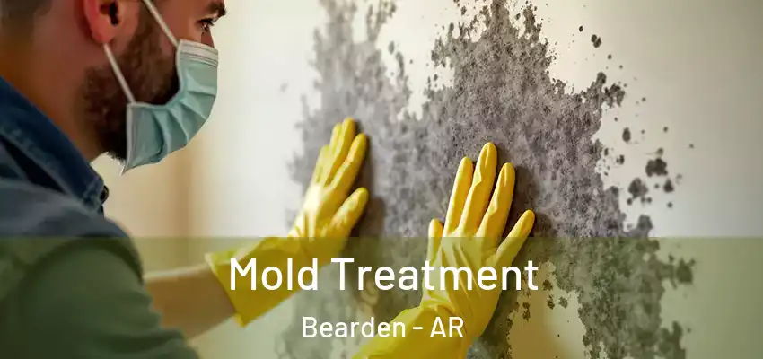  Mold Treatment Bearden - AR
