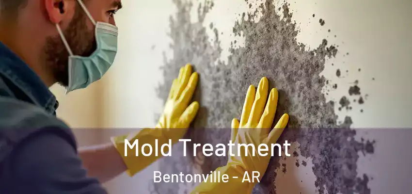  Mold Treatment Bentonville - AR