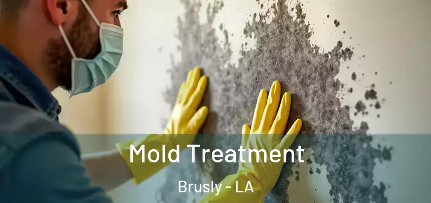 Mold Treatment Brusly - LA
