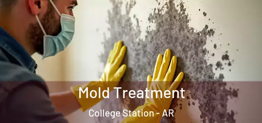  Mold Treatment College Station - AR