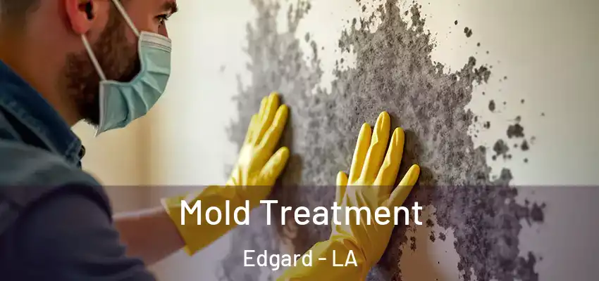  Mold Treatment Edgard - LA