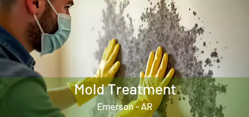  Mold Treatment Emerson - AR