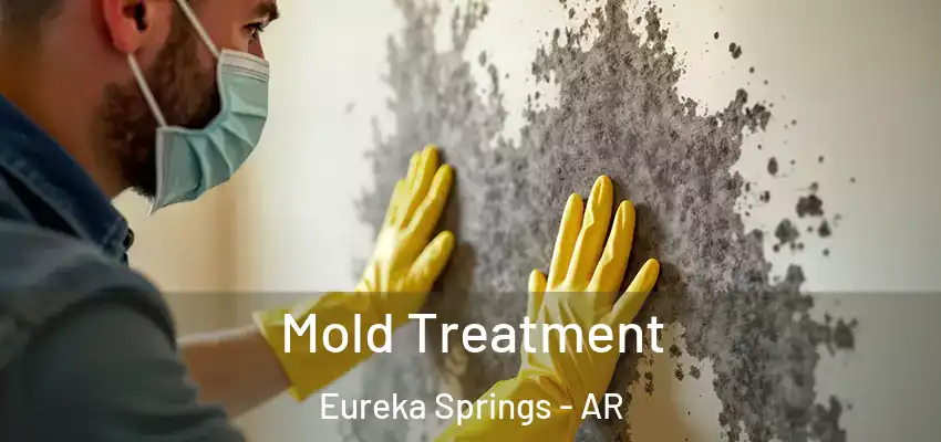 Mold Treatment Eureka Springs - AR