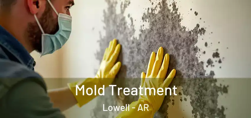  Mold Treatment Lowell - AR