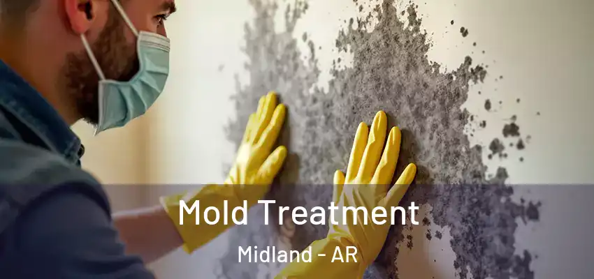  Mold Treatment Midland - AR