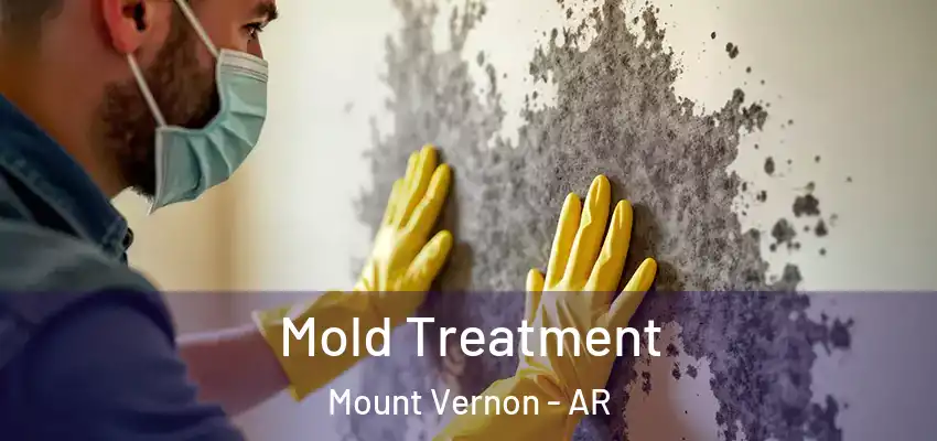  Mold Treatment Mount Vernon - AR