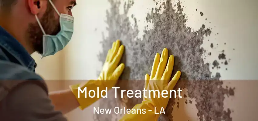  Mold Treatment New Orleans - LA