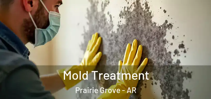 Mold Treatment Prairie Grove - AR