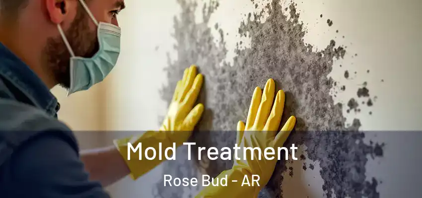  Mold Treatment Rose Bud - AR