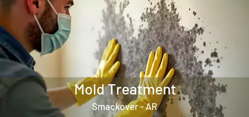  Mold Treatment Smackover - AR
