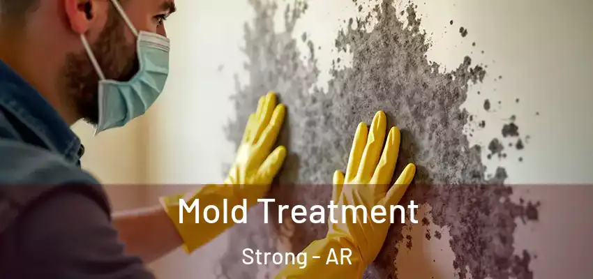  Mold Treatment Strong - AR