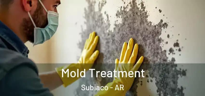 Mold Treatment Subiaco - AR