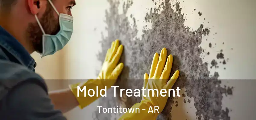 Mold Treatment Tontitown - AR