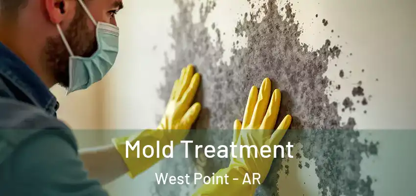  Mold Treatment West Point - AR