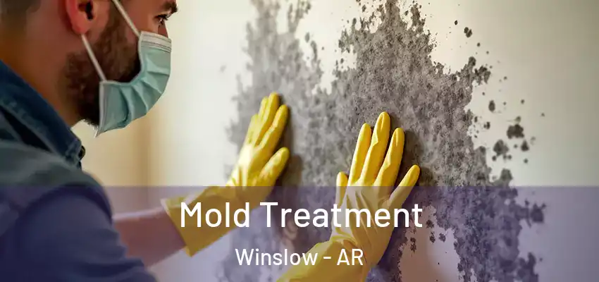  Mold Treatment Winslow - AR