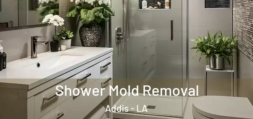  Shower Mold Removal Addis - LA