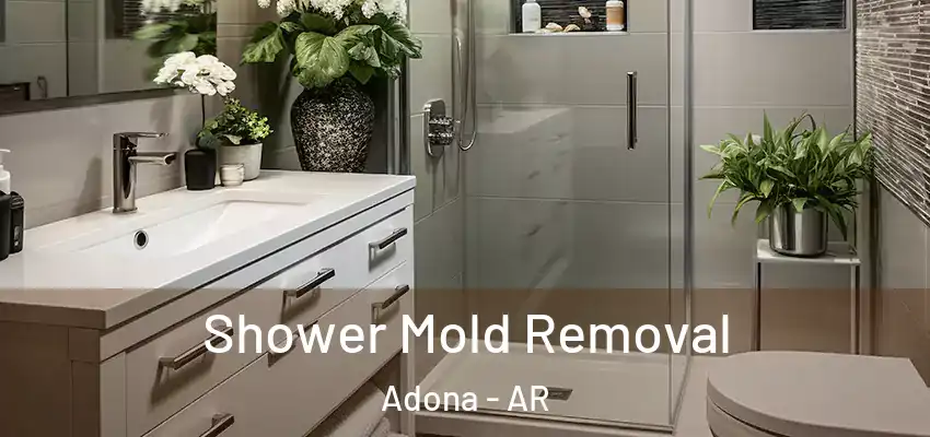 Shower Mold Removal Adona - AR