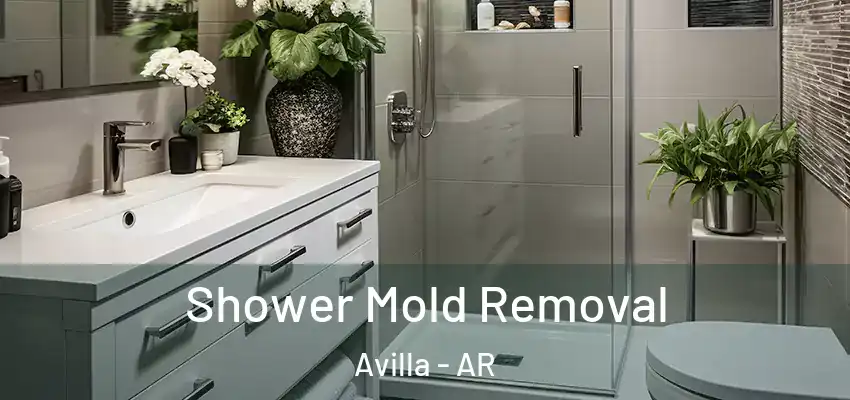  Shower Mold Removal Avilla - AR