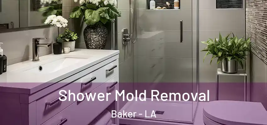  Shower Mold Removal Baker - LA