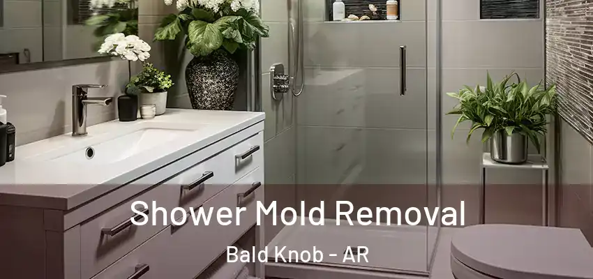 Shower Mold Removal Bald Knob - AR