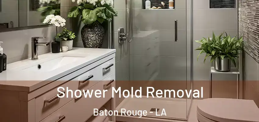  Shower Mold Removal Baton Rouge - LA