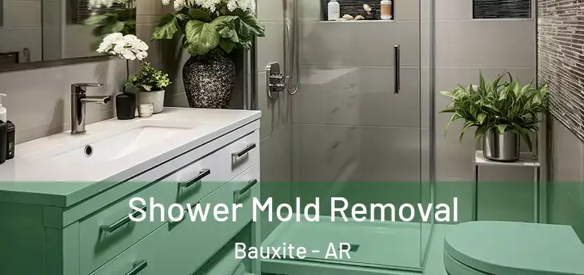  Shower Mold Removal Bauxite - AR