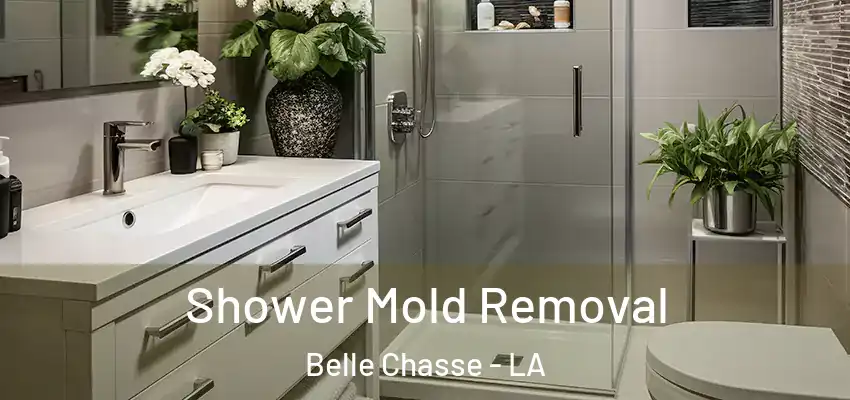  Shower Mold Removal Belle Chasse - LA